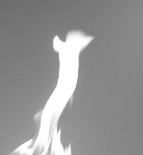 A form as of a divine spirit standing as protector to protect those who hath come to seek God. Not of this world.